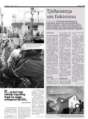 Síða 11