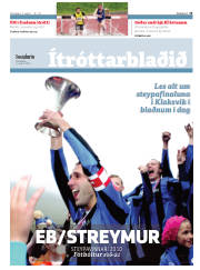 Síða 15