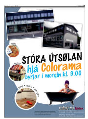 Síða 29