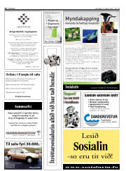 Síða 12