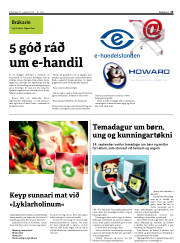 Síða 13