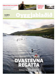 Síða 15