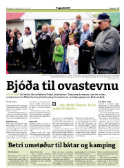 Síða 17