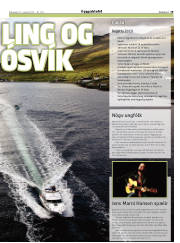 Síða 19
