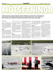 Síða 22