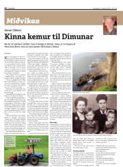 Síða 28