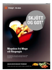 Síða 3