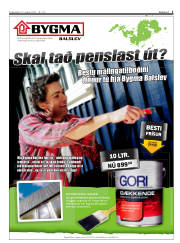 Síða 5