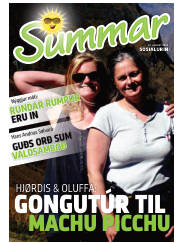Síða 1