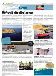 Síða 2