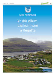 Síða 3