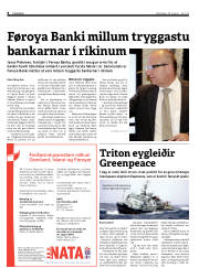 Síða 8