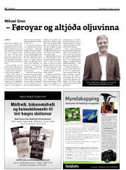 Síða 12