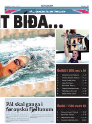 Síða 21