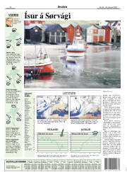 Síða 13