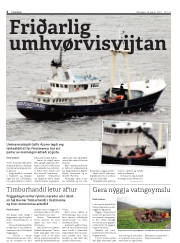 Síða 4