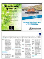 Síða 8