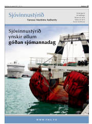 Síða 17