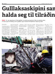 Síða 10