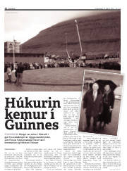 Síða 12