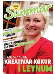 Síða 17