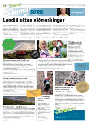 Síða 18