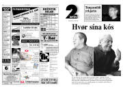Síða 8
