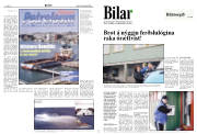 Síða 8
