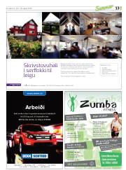 Síða 29