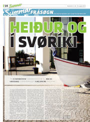 Síða 30