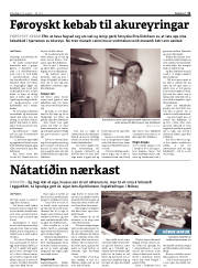 Síða 11