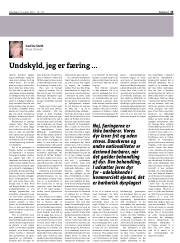 Síða 13