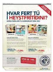 Síða 3