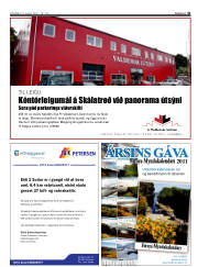 Síða 41