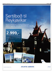 Síða 13