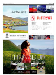 Síða 17
