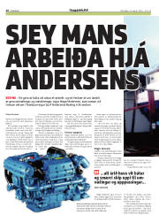 Síða 20