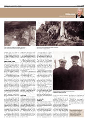 Síða 31