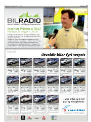 Síða 39