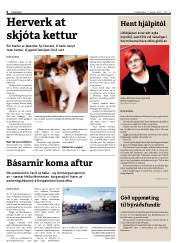 Síða 6