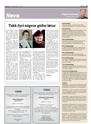 Síða 17