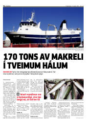Síða 22