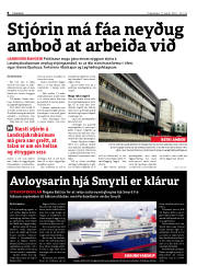 Síða 8