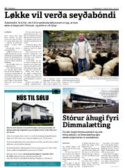 Síða 12