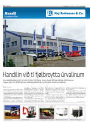 Síða 26