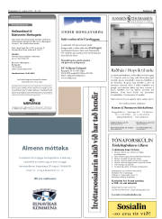 Síða 43