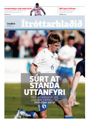 Síða 15