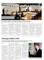 Síða 6
