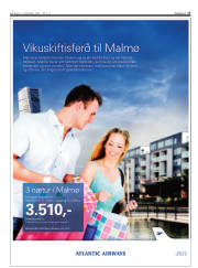 Síða 17