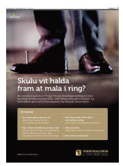 Síða 3